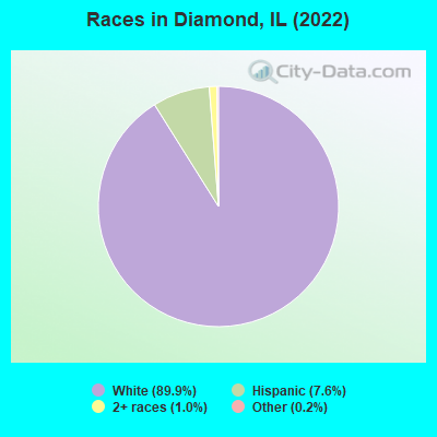 Races in Diamond, IL (2021)