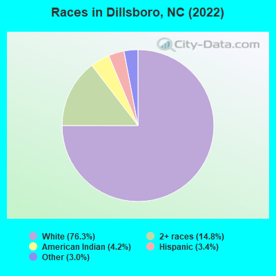 Races in Dillsboro, NC (2022)