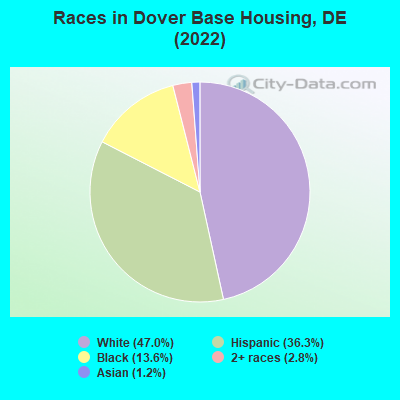 Races in Dover Base Housing, DE (2022)