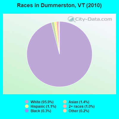 Races in Dummerston, VT (2010)