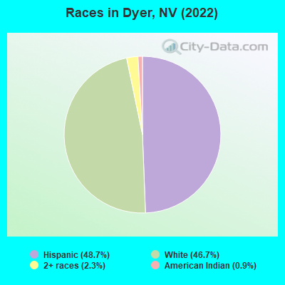Races in Dyer, NV (2022)