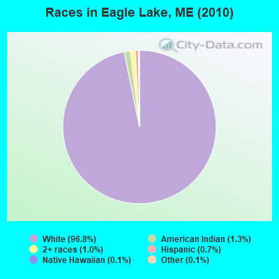 Races in Eagle Lake, ME (2010)