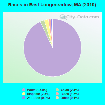 Races in East Longmeadow, MA (2010)