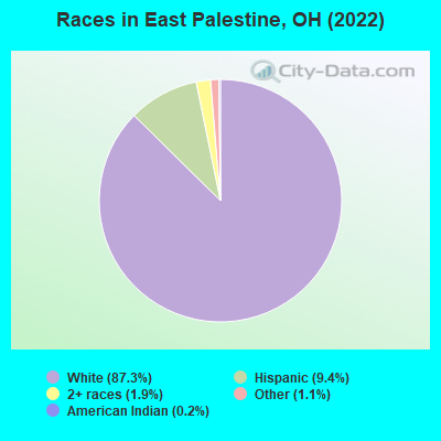 Races in East Palestine, OH (2022)