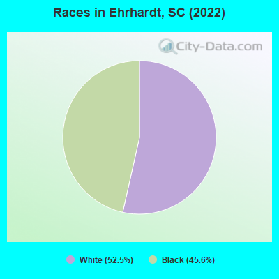Races in Ehrhardt, SC (2022)