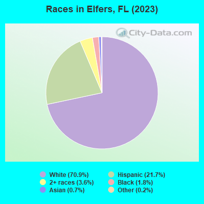 Races in Elfers, FL (2022)