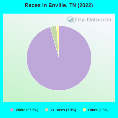 Races in Enville, TN (2022)