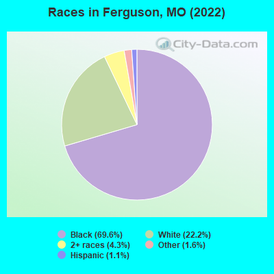 Races in Ferguson, MO (2019)