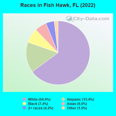Races in Fish Hawk, FL (2019)