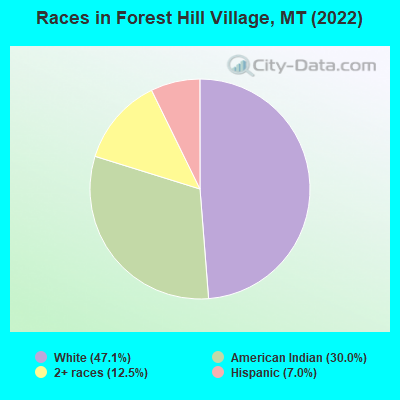 Races in Forest Hill Village, MT (2022)