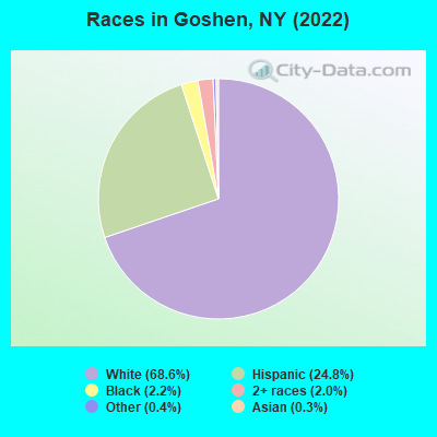 Races in Goshen, NY (2019)
