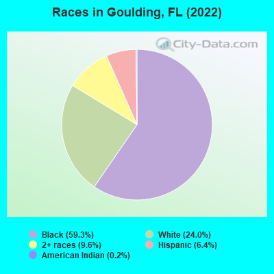 Races in Goulding, FL (2022)