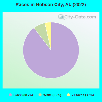 Races in Hobson City, AL (2022)