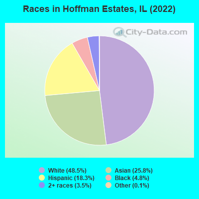 Races in Hoffman Estates, IL (2022)