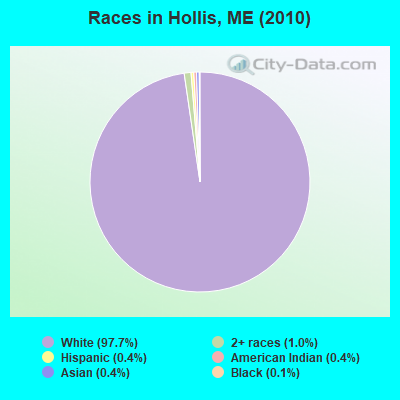 Races in Hollis, ME (2010)