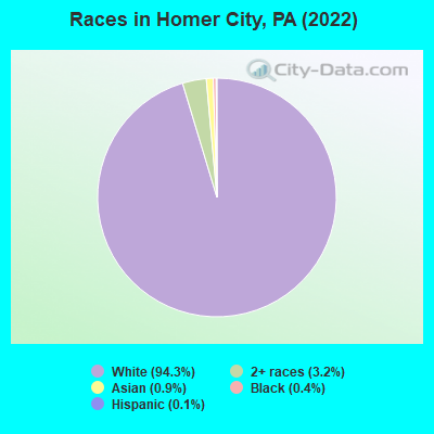 Homer City, Pennsylvania (PA 15748) profile: population, maps, real estate, averages, homes