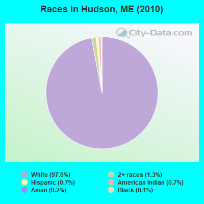 Races in Hudson, ME (2010)