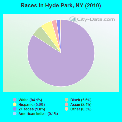 Races in Hyde Park, NY (2010)