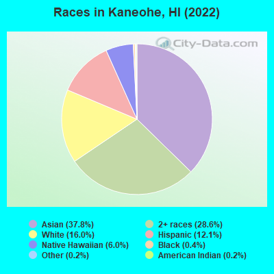 Races in Kaneohe, HI (2019)