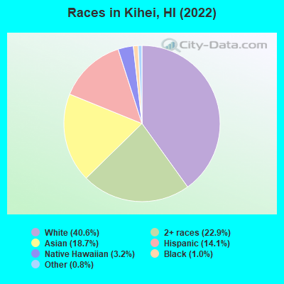 Races in Kihei, HI (2019)