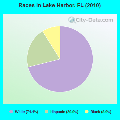 Races in Lake Harbor, FL (2010)