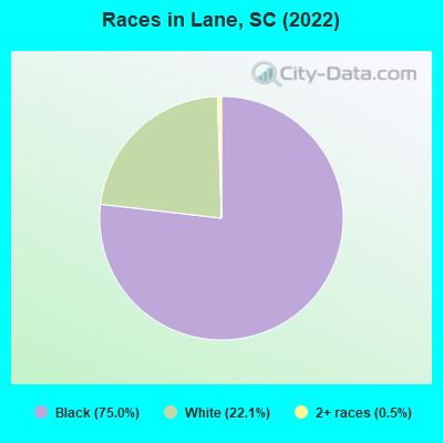 Races in Lane, SC (2019)