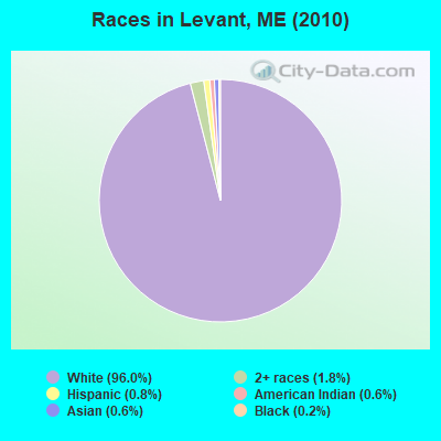 Races in Levant, ME (2010)