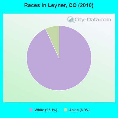 Races in Leyner, CO (2010)