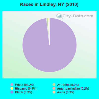 Races in Lindley, NY (2010)