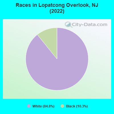 Races in Lopatcong Overlook, NJ (2022)