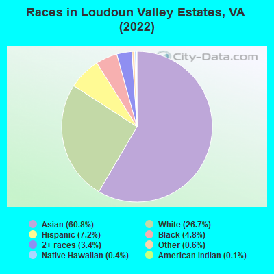 Races in Loudoun Valley Estates, VA (2022)