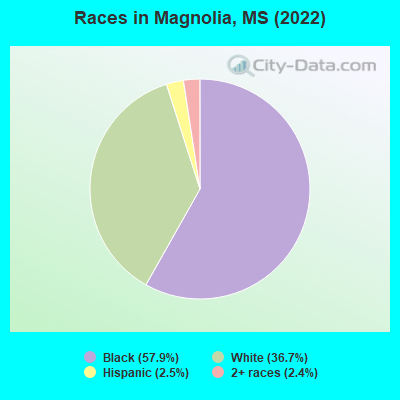 Races in Magnolia, MS (2019)