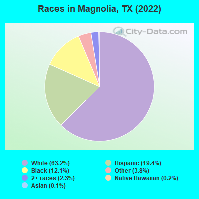 Races in Magnolia, TX (2022)