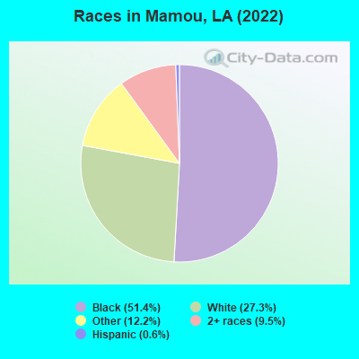 Races in Mamou, LA (2022)