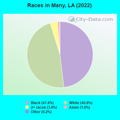 Races in Many, LA (2019)