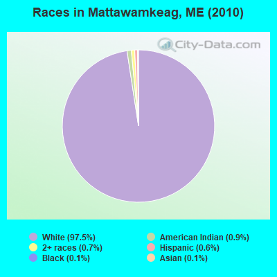 Races in Mattawamkeag, ME (2010)