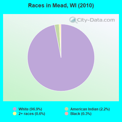 Races in Mead, WI (2010)