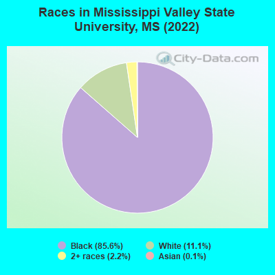 Races in Mississippi Valley State University, MS (2022)