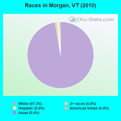 Races in Morgan, VT (2010)