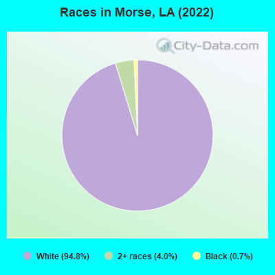 Races in Morse, LA (2022)