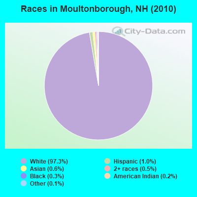 Races in Moultonborough, NH (2010)