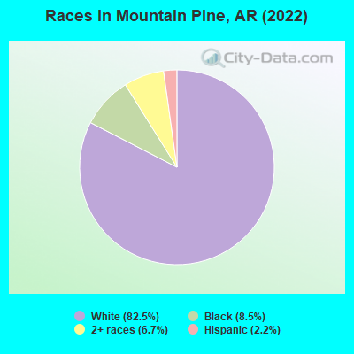 Races in Mountain Pine, AR (2022)