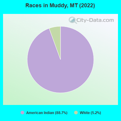 Races in Muddy, MT (2019)