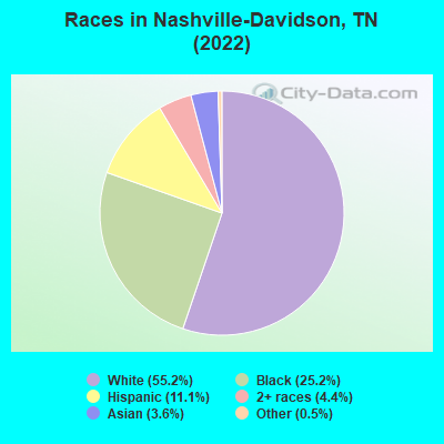 Races in Nashville-Davidson, TN (2019)