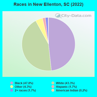 Races in New Ellenton, SC (2022)
