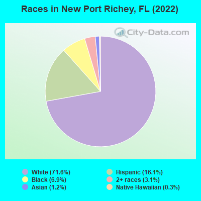 Races in New Port Richey, FL (2021)