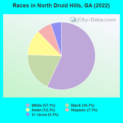 Races in North Druid Hills, GA (2019)