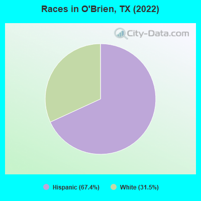 Races in O'Brien, TX (2022)