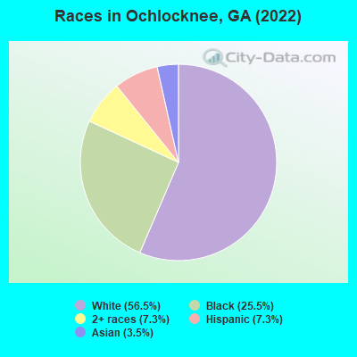 Races in Ochlocknee, GA (2022)