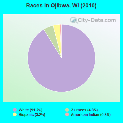 Races in Ojibwa, WI (2010)